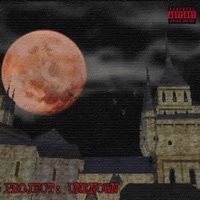 Project: Unknown (Complete) - flowerwebs