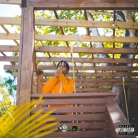 Elevated - Single - SVM & DJ Mac