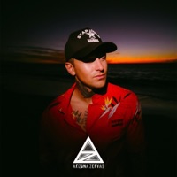 WOULDN'T IT BE NICE - Single - Arizona Zervas