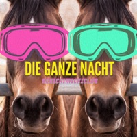 Die ganze Nacht - Single - Schickimicki Club, Disco Dony & Rolf Cabrio