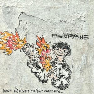 Don't Forget To Say Goodbye - Single
