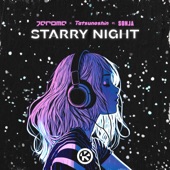Starry Night (feat. SONJA) [Extended Mix] artwork