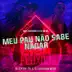 Meu Pau Não Sabe Nadar song reviews