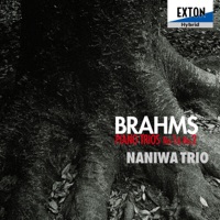 Brahms: Piano Trios No.1 & No.2 - Masayuki Kino, Yasurô Chomei, Hikaru Yoshiyama & Naniwa Trio
