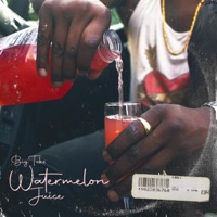 Watermelon Juice (feat. Nicklaus Gray) - Single - Big Toks