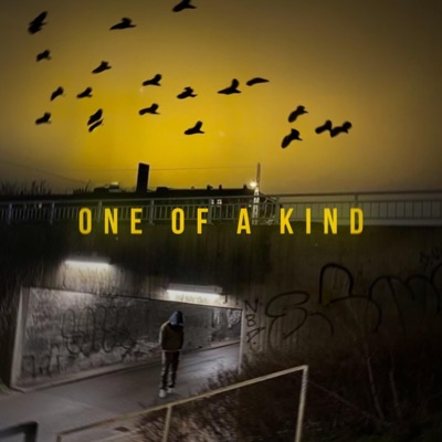 One of a Kind - Single