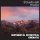 Sentimental Orchestral Cinematic Single