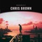 Chris Brown - RodiBeatz lyrics