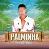 Palminha (feat. Marley no Beat) - Single