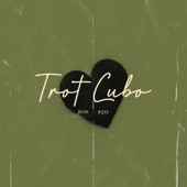 Trot Cubo artwork