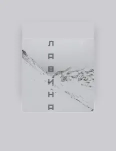 聆聽 Jaws on the Station、觀看音樂影片、閱讀小傳、查看巡演日期等！