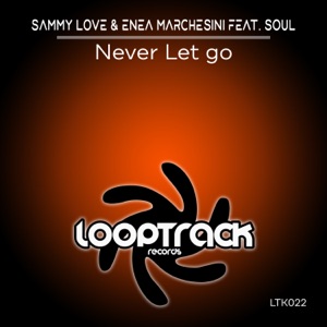 Never Let Go (feat. Soul) - Single