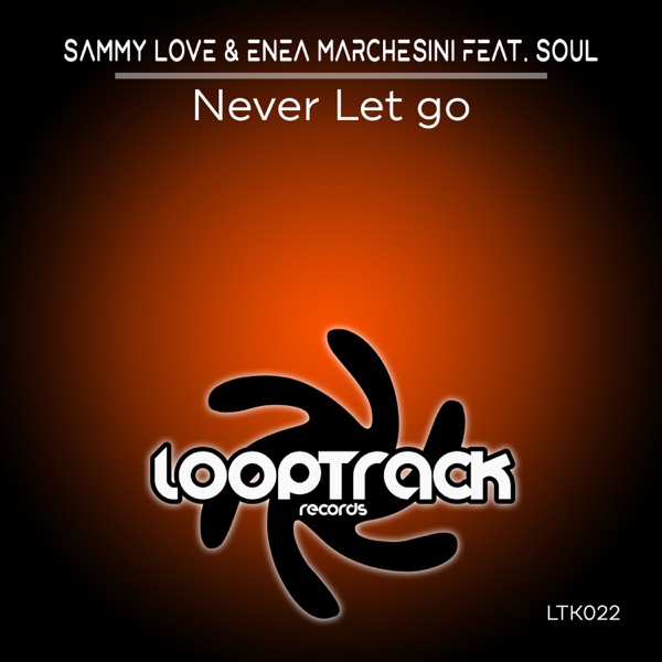 Never Let Go (feat. Soul) - Single