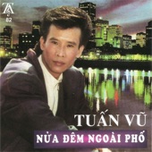 Nửa Đêm Ngoài Phố artwork