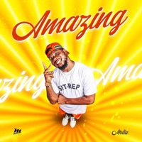 Amazing - Single - Molla