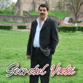 Secretul Vietii artwork