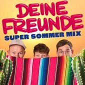 Super Sommer Mix (DJ Mix) artwork