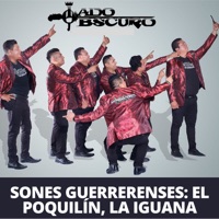 Sones Guerrerenses: El Poquilín, la Iguana - Single - Lado Obscuro