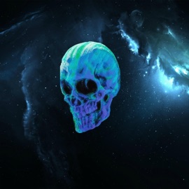 The Wild West of the 21st Century Skinnyr