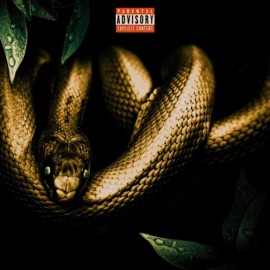 Golden Child (feat. Zaybach) Vone Honcho