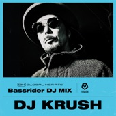 VISION: DJ KRUSH (Bassrider) [DJ Mix] artwork