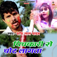 Pichakari Se Chot Lagata - Single - SHASHI LAL YADAV & Prabha Raj