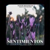 Sentimientos - Single