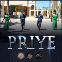 NEW VISION - Priye