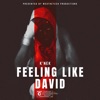 Feeling Like David - Single