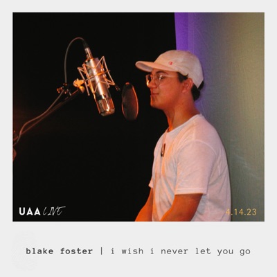I Wish I Never Let You Go (feat. Blake Foster) - Single