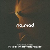 Rhythm of the Night artwork