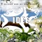 Idee - Safran van de Schlosser lyrics