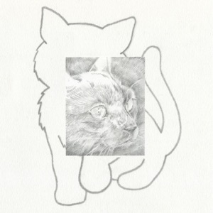 Outdoor Cat - EP