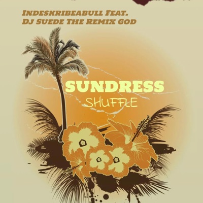The Sundress Shuffle (feat. Dj Suede the Remix God) - Single