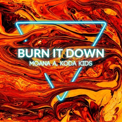 Burn It Down (Run This Town) - Single