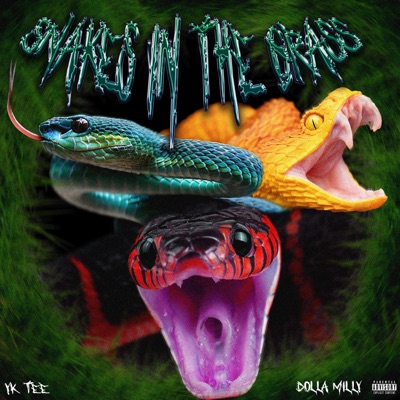 Snakes in the Grass (feat. Dolla Milly) - Single