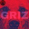 Griz - Mumbo Jumbo Music lyrics