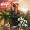 Palm Trees in Miami - Lil Double 0 lyrics