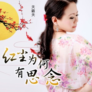 红尘为何有思念 - Single