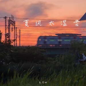 夏风太温柔 - Single