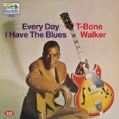 T-bone Walker - Vietnam