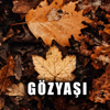 Gözyaşı - Ney Sesi