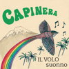 Capinera - Il volo artwork