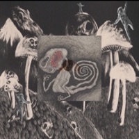 The Sighting - Single - Pacx & V-Punk