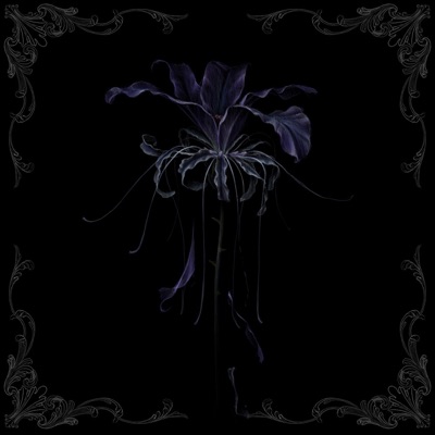Bella - Single