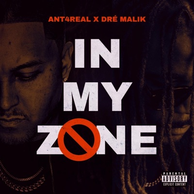 In My Zone - Single
