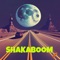 SHAKABOOM - DJ STENCIL lyrics