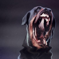 BORDER (feat. Ciel) - Single - Luka Bayonne