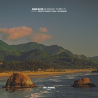 Reanimate (Remixes) - Single - David Leckenby, Secretly Famous & Yahra