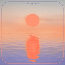 Say It Now ARAI & Smooth Monkey